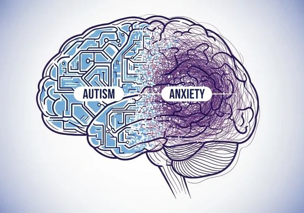 Abstract brain showing intertwined autism and anxiety